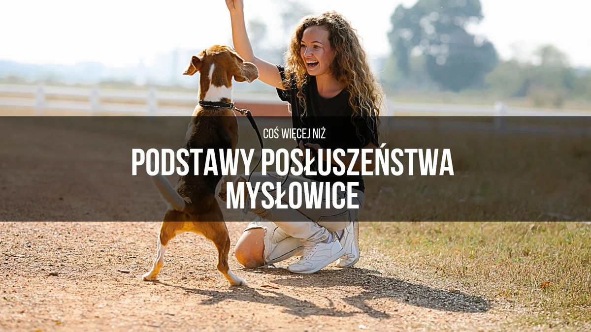 Grafika promocyjna wydarzenia Kurs podstaw posłuszeństwa dla psów w Mysłowicach