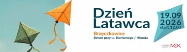 Grafika promocyjna wydarzenia Dzień Latawca