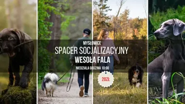 Grafika promocyjna wydarzenia Spacer Socjalizacyjny Wesoła Fala – leśny spacer z behawiorystą w Mysłowicach