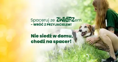 Grafika promocyjna wydarzenia Spaceruj ze ZWIERZem - wróć z przyjacielem! IV edycja w Mysłowicach