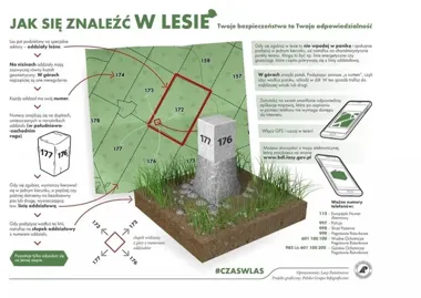 Grzybobranie w śląskich lasach może skończyć się akcją poszukiwawczą