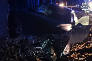 Sarna wyskoczyła na drogę w Mysłowicach - Audi wbiło się w drzewo