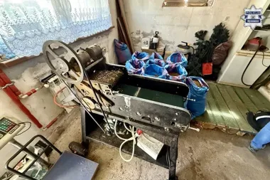 W Mysłowicach trafili na krajalnię tytoniu ukrytą na prywatnej posesji